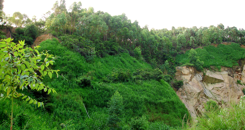 深圳·宝安区观澜摇丫山废弃市场治理工程
