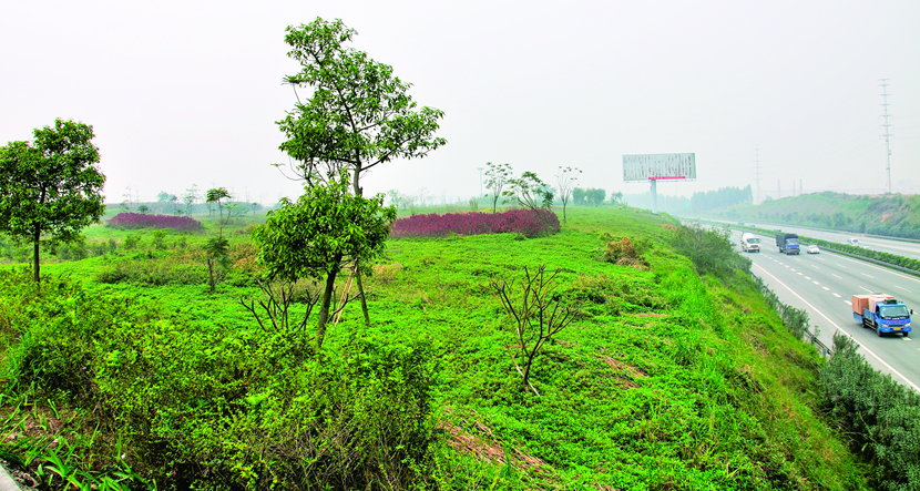 广深高速大岭山路段边坡综合治理工程