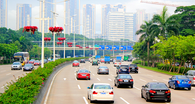 深圳·福田滨河路绿化景观改造工程