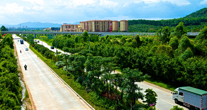 珠海·城市绿化景观提升工程