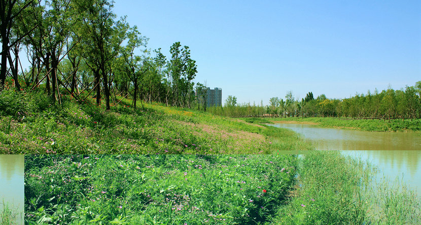 北京·环渤海高端总部基地北部城市湿地公园