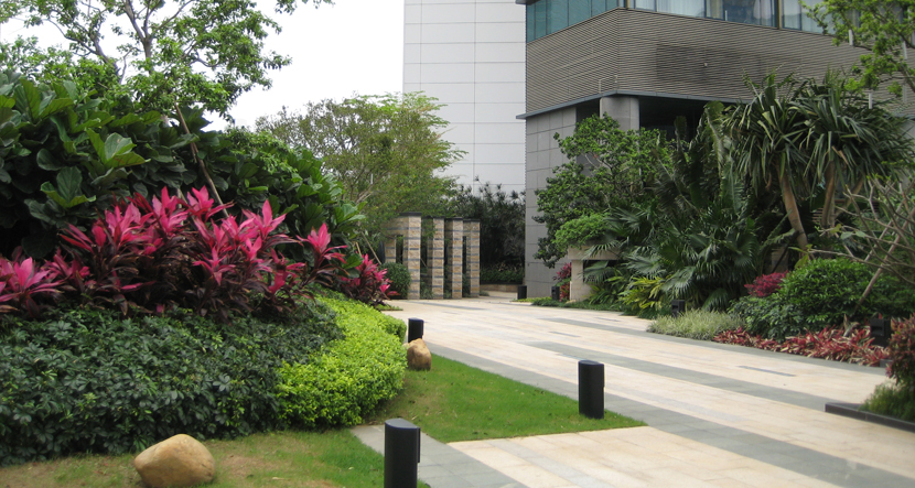 深圳·星河发展中心景观工程